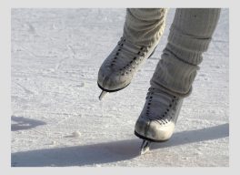 patin-2