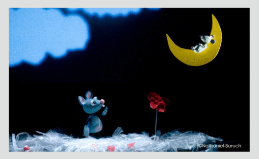 newsletter-rumba
