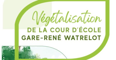 projet végétalisation cour d'école