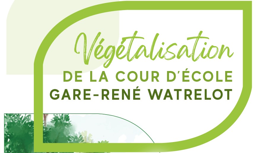 projet végétalisation cour d'école